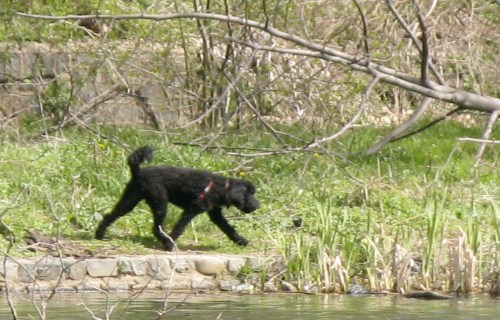 south of Breeze Hill