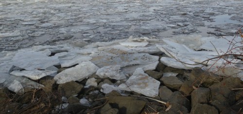 ice shards