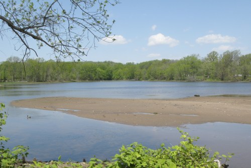Wolfe's Pond