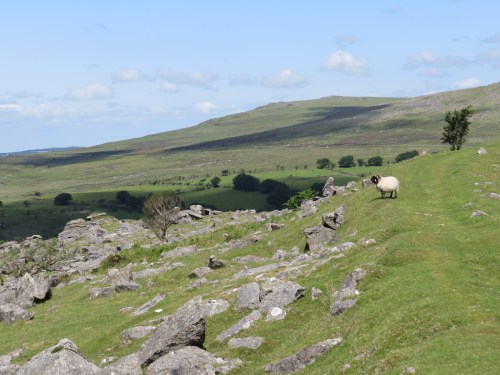 Kings Tor