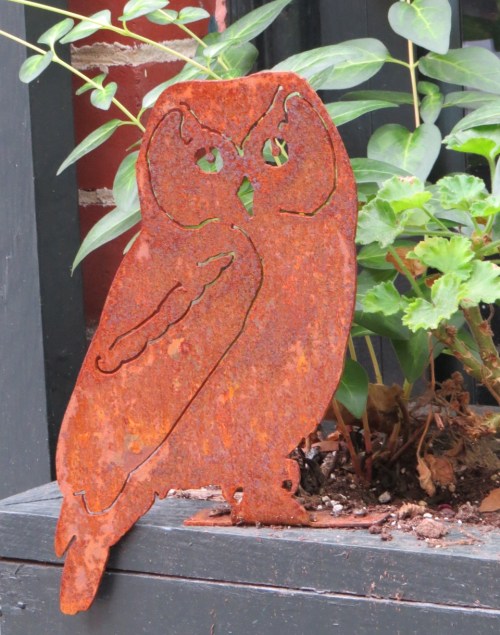 rusty owl