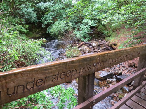 tarka trail footbridge