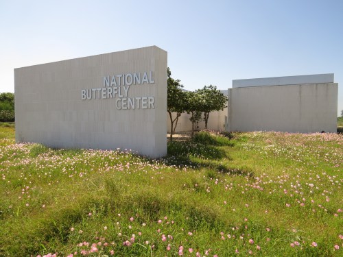 National Butterfly Center