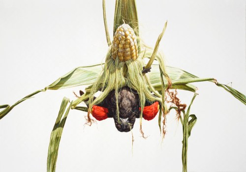 boorujy.passenger.invite