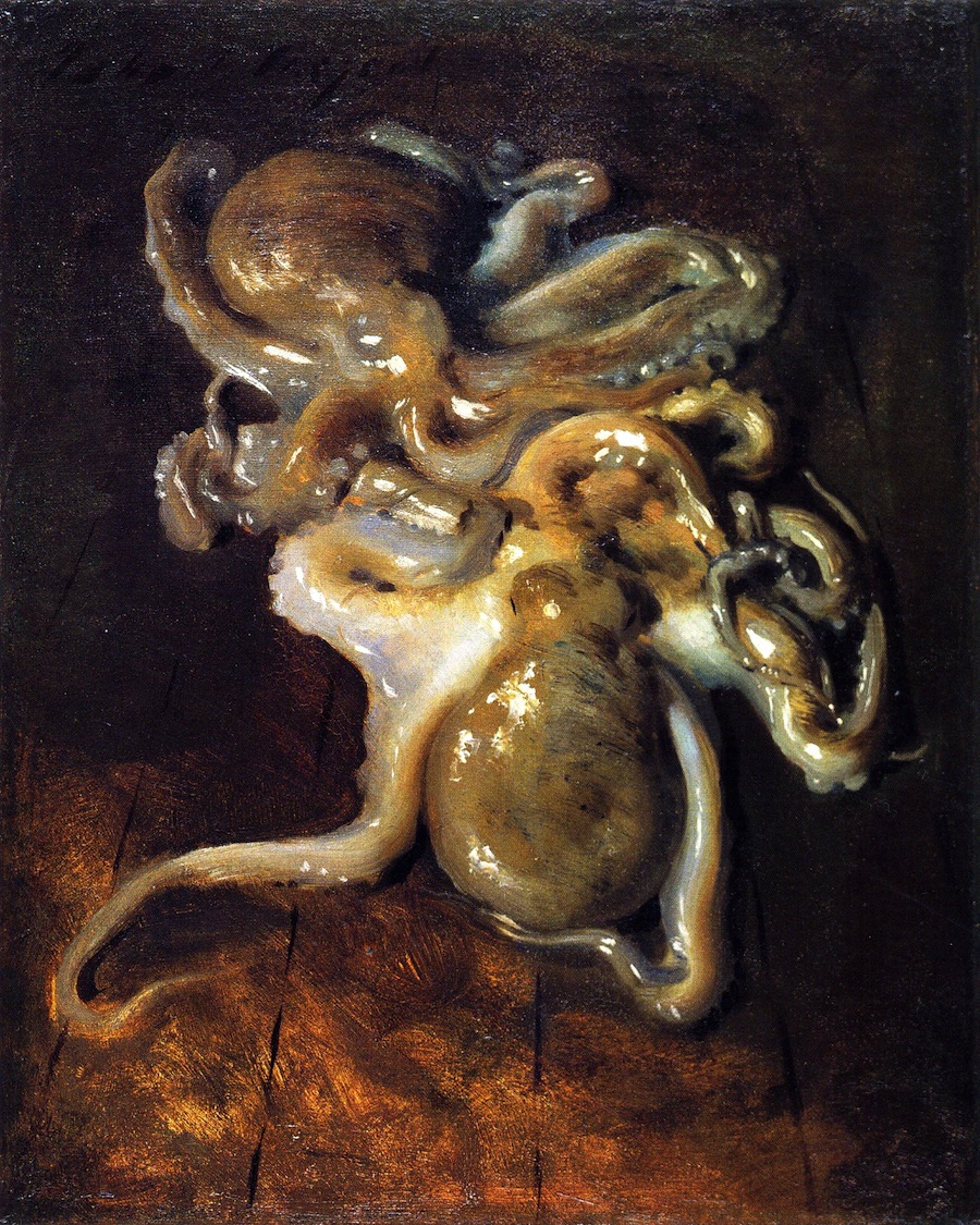 Two Octopi” – Backyard and Beyond
