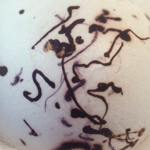 Photo of Purcell's photo of Red-wing Blackbird egg, for which there was no collection data available. Red-wing BB eggs are quite variable.