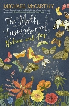 moth-snowstorm-pic
