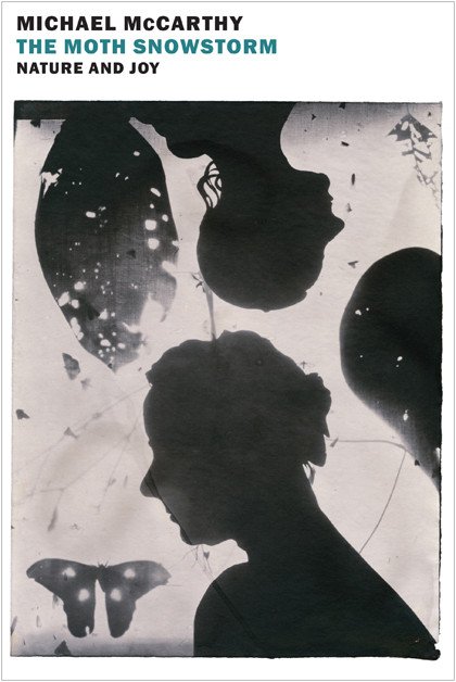 the_moth_snowstorm_for_web_df271fb2-a6f7-4703-9f9a-23ea2dbb7f70_1024x1024