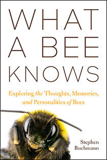 Bee Knowing