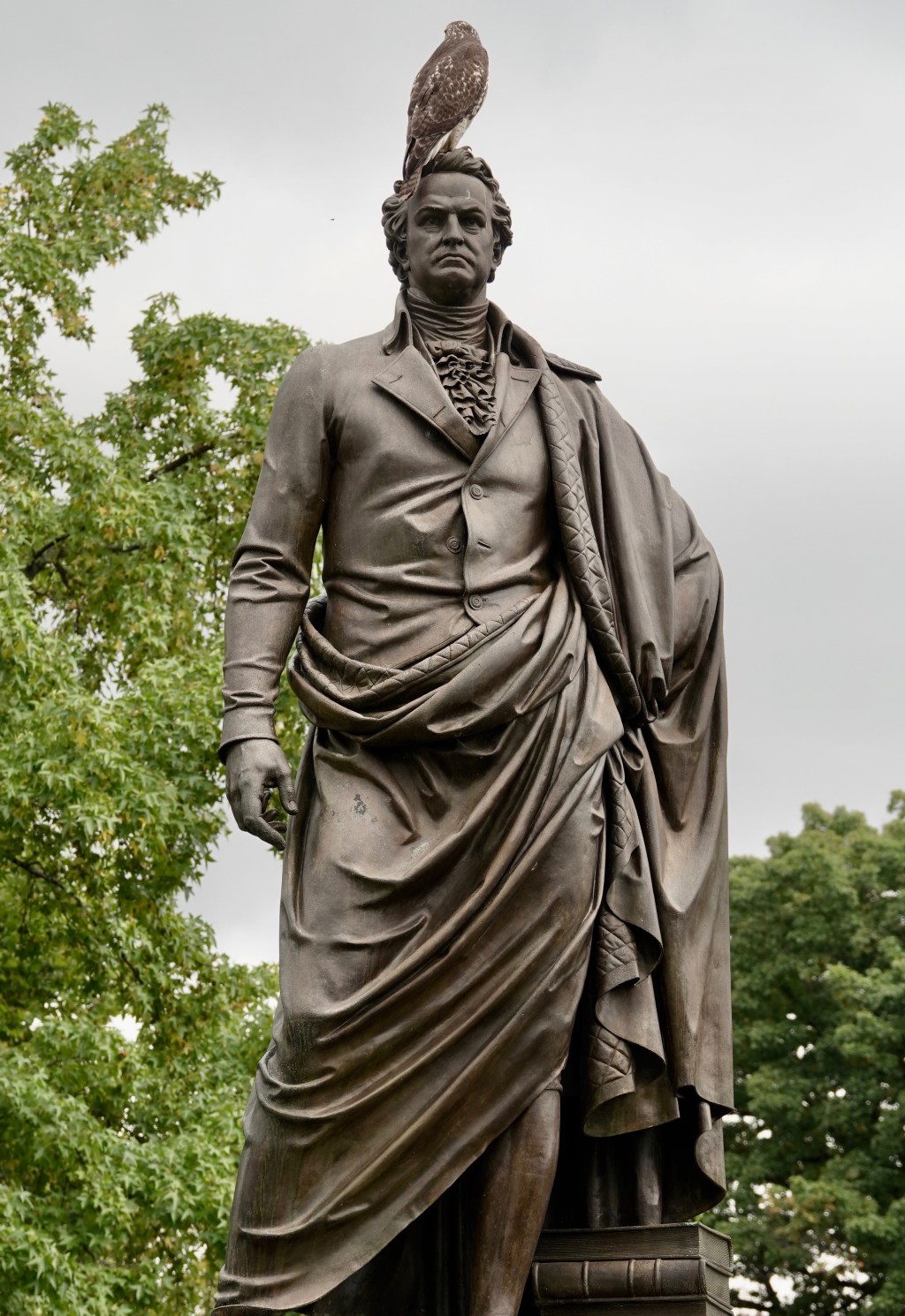 Red-tail Follow-Up To Raptor&nbsp;Wednesday