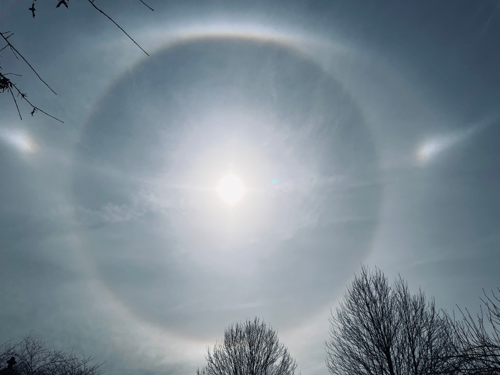 Solar Effects & Aconite