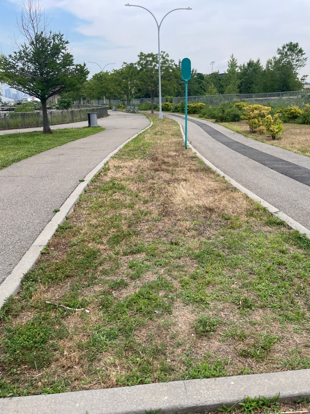 Clear Cutting A Pollinator Paradise