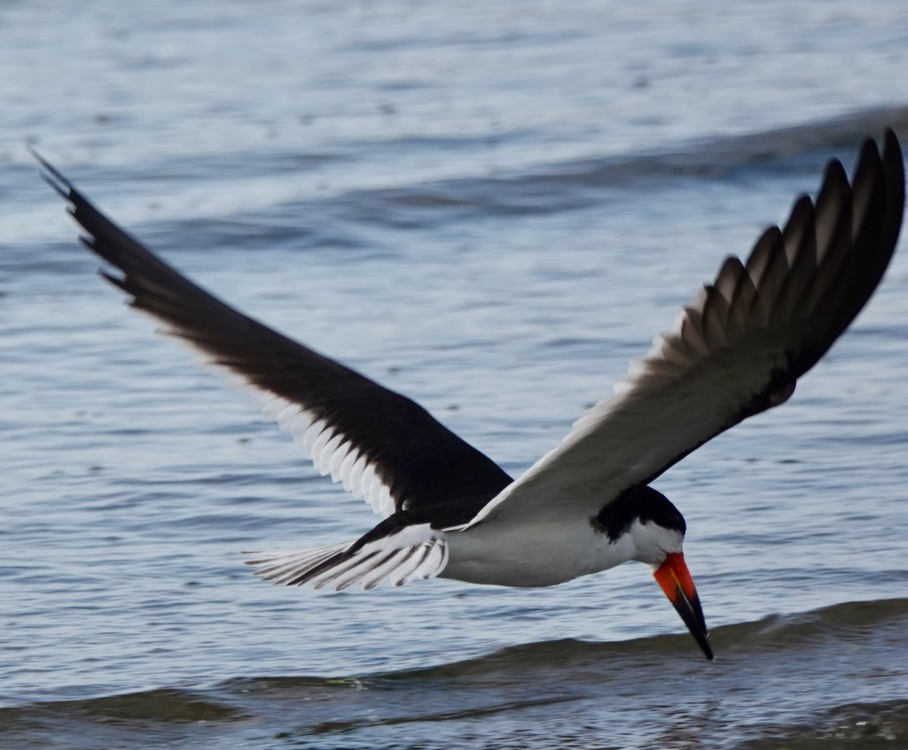 Skimming